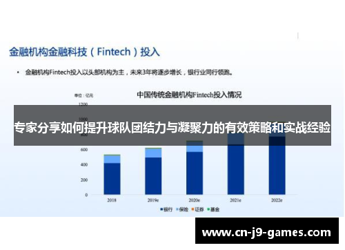 专家分享如何提升球队团结力与凝聚力的有效策略和实战经验