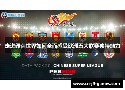 走进绿茵世界如何全面感受欧洲五大联赛独特魅力