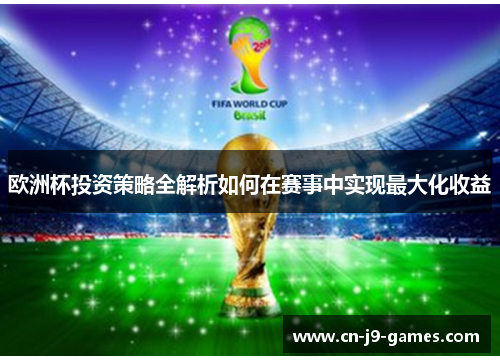 欧洲杯投资策略全解析如何在赛事中实现最大化收益