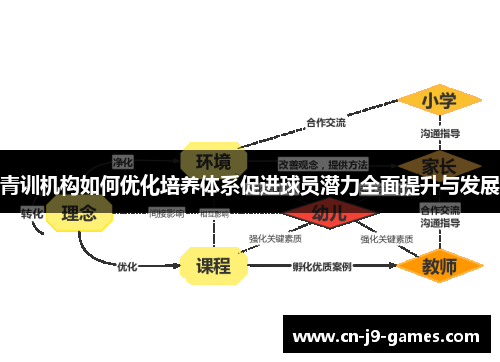 青训机构如何优化培养体系促进球员潜力全面提升与发展